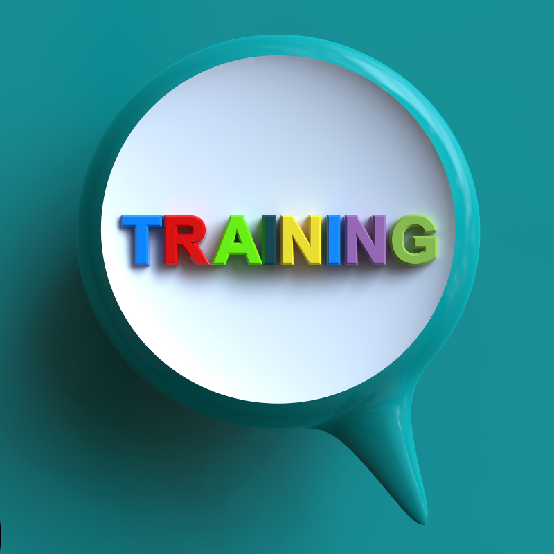 Digital Marketing Training & Mentorship